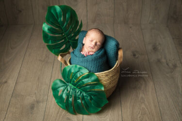 photographe nouveau né pro